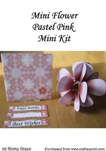 Mini 3D Flower Pastel Pink Mini Kit