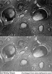 Duel Glass Bubbles Black Backing Paper