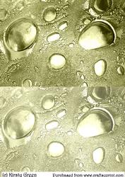 Duel Glass Bubbles Pale Gold Backing Paper
