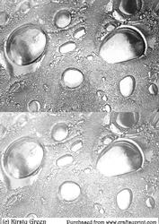 Duel Glass Bubbles Silver Backing Paper