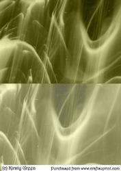 Duel - Streaky Pale Gold Backing Paper