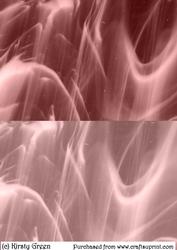 Duel - Streaky Pastel Pink Backing Paper