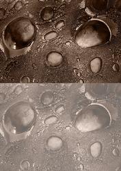 Duel - Glass Bubbles - Chocolate Backing Paper
