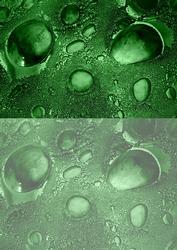 Duel - Glass Bubbles - Dusky Green Backing Paper