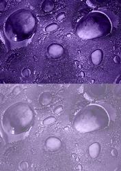 Duel - Glass Bubbles - Dusky Purple Backing Paper