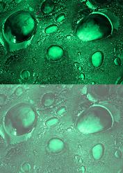 Duel - Glass Bubbles - Jade Backing Paper