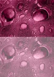 Duel - Glass Bubbles - Plum Backing Paper