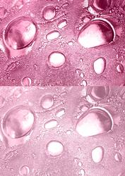 Duel - Glass Bubbles - Sugar Pink Backing Paper