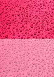 Duel Backing Paper - Rain Drops - Cranberry