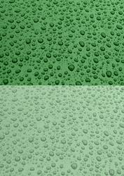 Duel Backing Paper - Rain Drops - Dusky Green