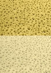 Duel Backing Paper - Rain Drops - Lemon