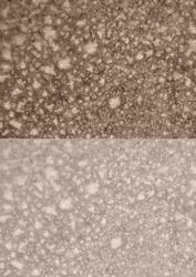 Duel - Shimmering Metallic Chocolate Backing Paper