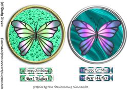2 Round Framed Butterfly Toppers 1 - with Matching Tags