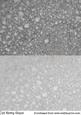 Duel Shimmering Metallic Silver Backing Paper