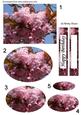 Cherry Blossom Stacker with Matching Tags