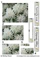 White Flower Stacker - with Matching Tags