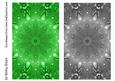 Duel - Green & Silver Jewel Backing Paper