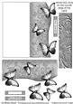 Butterfly Fold Back Card - Pale Silver