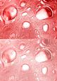 Duel - Glass Bubbles - Coral Backing Paper