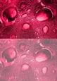 Duel - Glass Bubbles - Cranberry Backing Paper