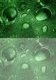 Duel - Glass Bubbles - Dusky Green Backing Paper