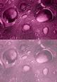 Duel - Glass Bubbles - Dusky Pink Backing Paper
