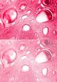Duel - Glass Bubbles - Light Cranberry Backing Paper