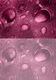 Duel - Glass Bubbles - Plum Backing Paper