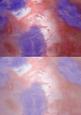 Duel - Shimmering Metallic Backing Paper - Enchanted Copper