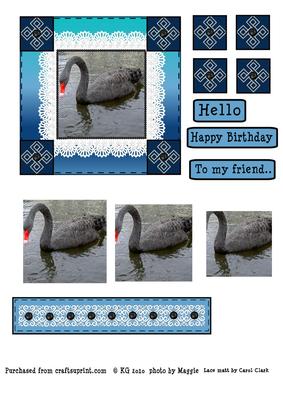 Black Majestic Swan