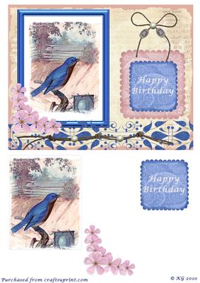 Bluebird Beauty