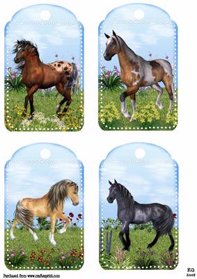 Horse Tags