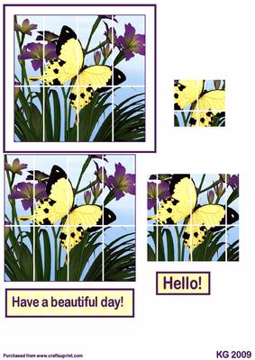Butterfly in the Window