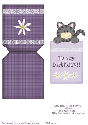 Purple Pocket Kitty