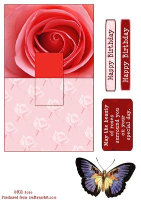 Butterfly and Rose
