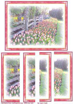 Watercolored Fence and Tulips