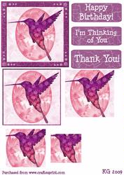 Pink Purple Hummingbird