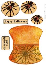 Spider Halloween