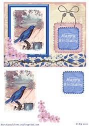Bluebird Beauty