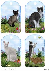 Cat Tags2