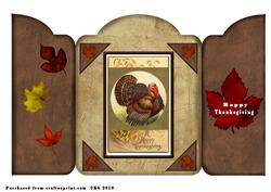 Turkey Folded Card