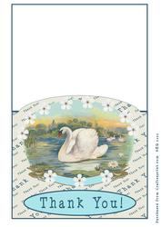 Swan Thank You