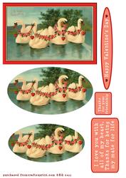 Swan Love
