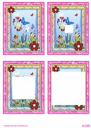 Butterflies in Frame