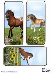 Horse Bookmarks