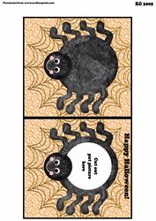 Spider Card