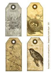 Bird Tags