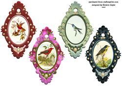 Fancy Birds