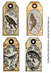 Vintage Bird Tags