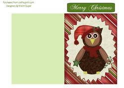 Cute Christmas Owl
